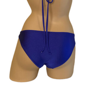 Low waist moderate bikini bottoms in Royal blue back view